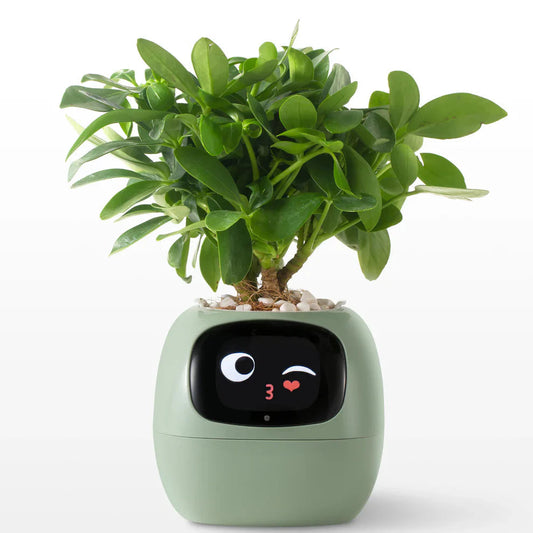 Smart AI Pet Planter